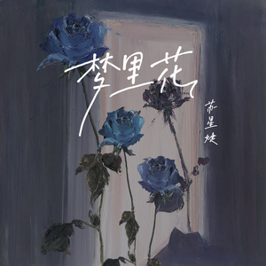 成人香蕉视频下载
